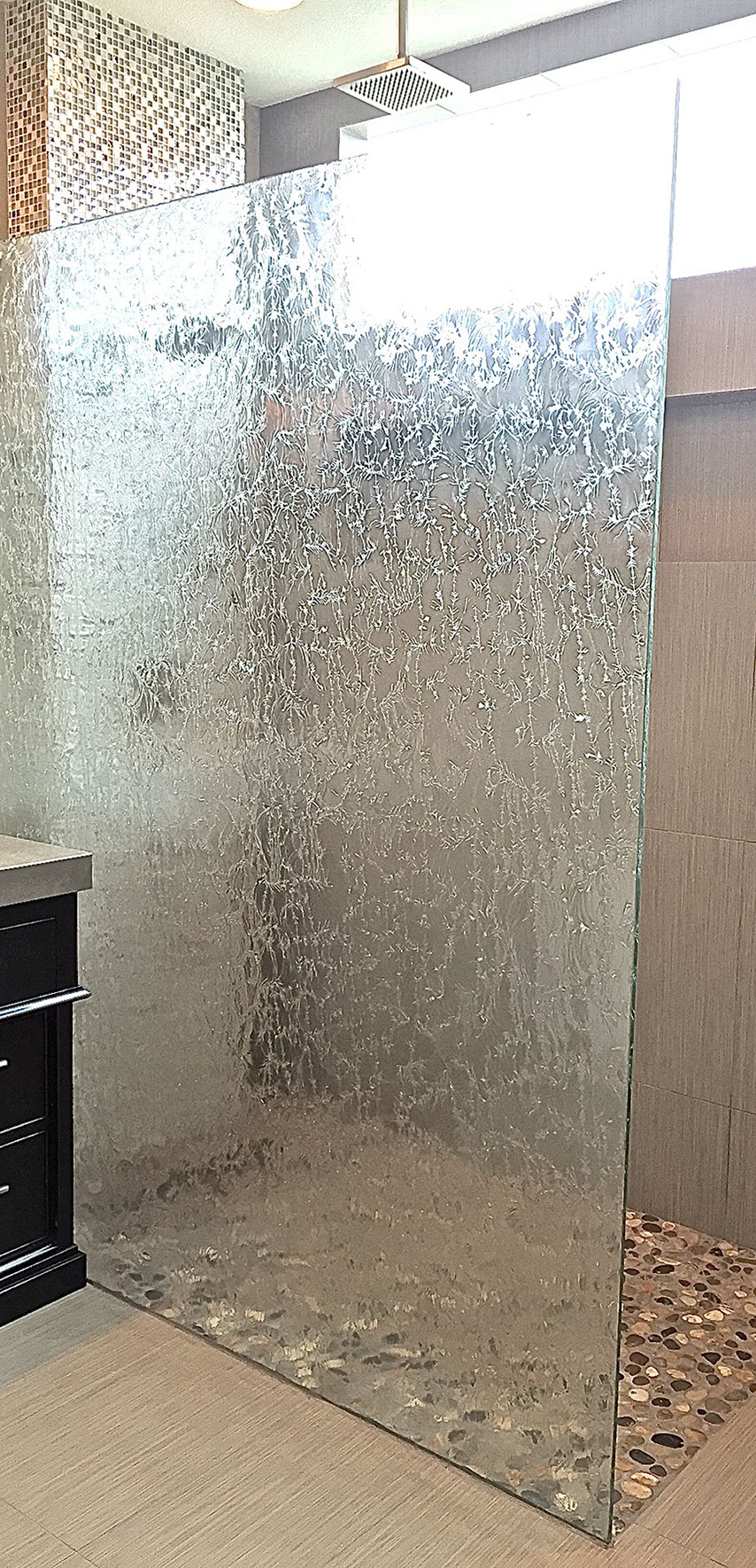 Shower Doors